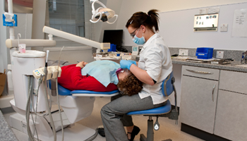 dental practitioner treating patient image