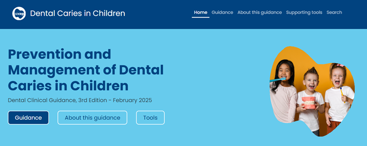 New digital resource provides the latest clinical guidance on preventing and managing dental decay in children image New digital resource provides the latest clinical guidance on preventing and managing dental decay in children