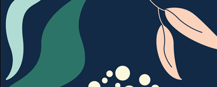 Transgender Care Knowledge and Skills Framework image Transgender Care Knowledge and Skills Framework