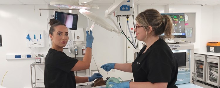 NHS Scotland Academy Latest Newsletter image NHS Scotland Academy Latest Newsletter