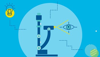 Placements and skills image Placements and skills image