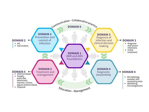 Image showcasing the antimicrobial resistance framework